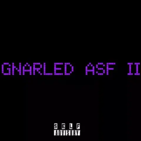 C!UDAT – GNARLED ASF II cover