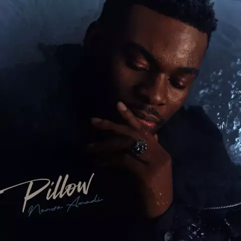 Nonso Amadi – PILLOW cover