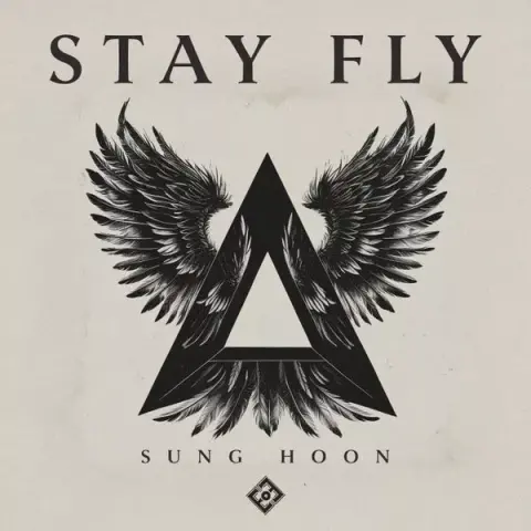 Stay Fly cover